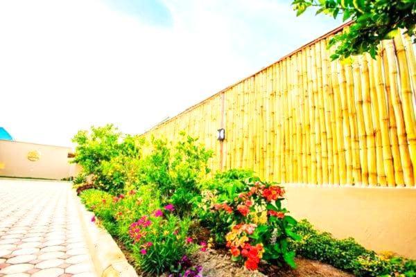 Bed and Breakfast Safi House Boma la Ngombe Экстерьер фото