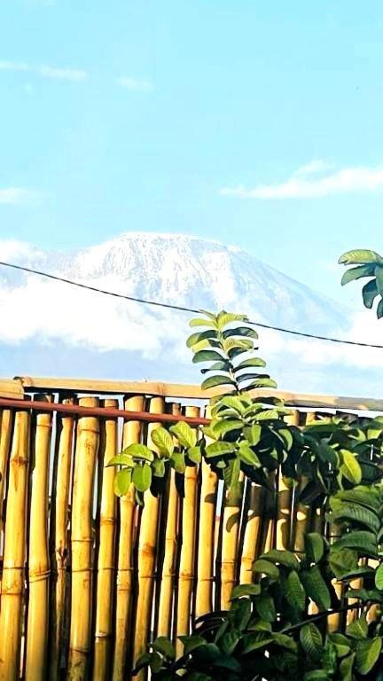 Bed and Breakfast Safi House Boma la Ngombe Экстерьер фото