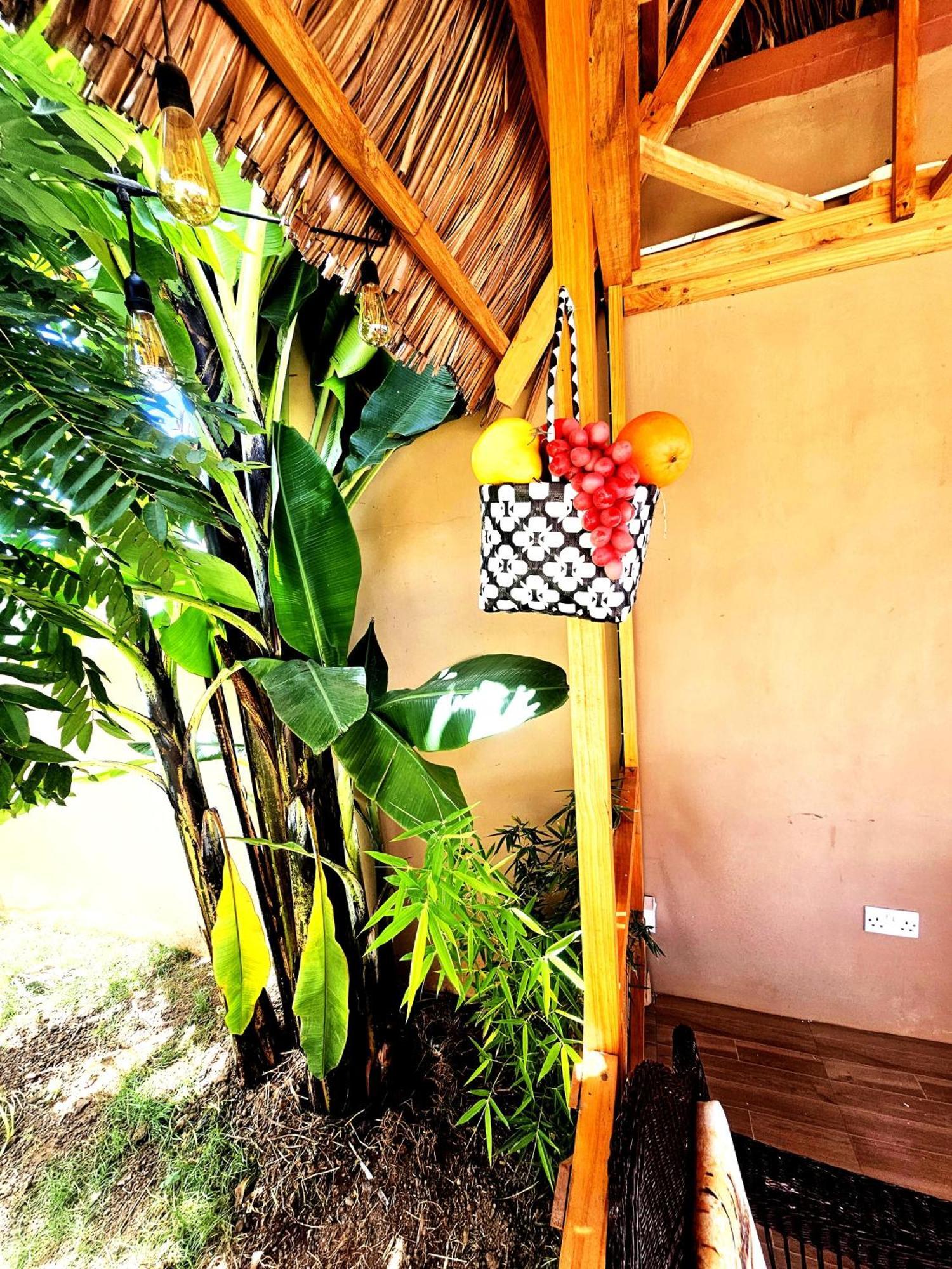 Bed and Breakfast Safi House Boma la Ngombe Экстерьер фото