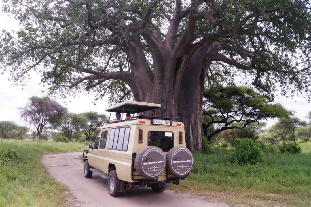 Bed and Breakfast Safi House Boma la Ngombe Экстерьер фото